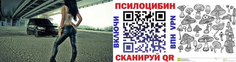 Галлюциногенные грибы Psilocybe  как найти закладки  Благовещенск 